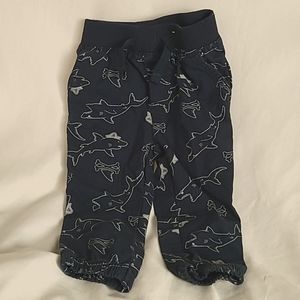 Cotton Shark Captain Blue Pants 18 Mons